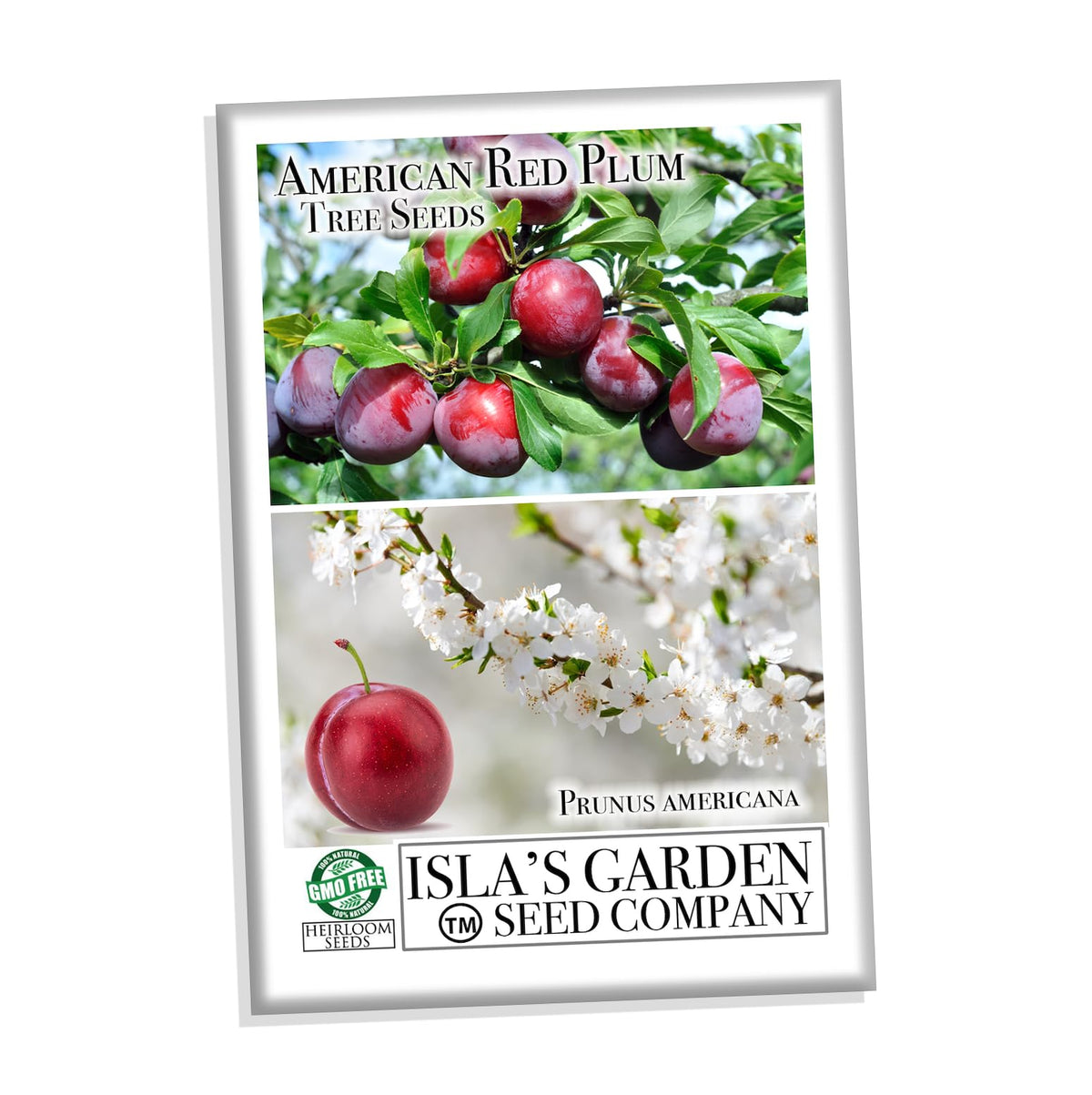 Isla's Garden Seeds American Red Plum fruit visual shows color range from yellow to red.