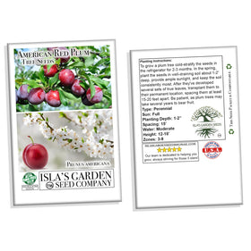 Isla's Garden Seeds American Red Plum mature tree backdrop suggests garden landscape potential.