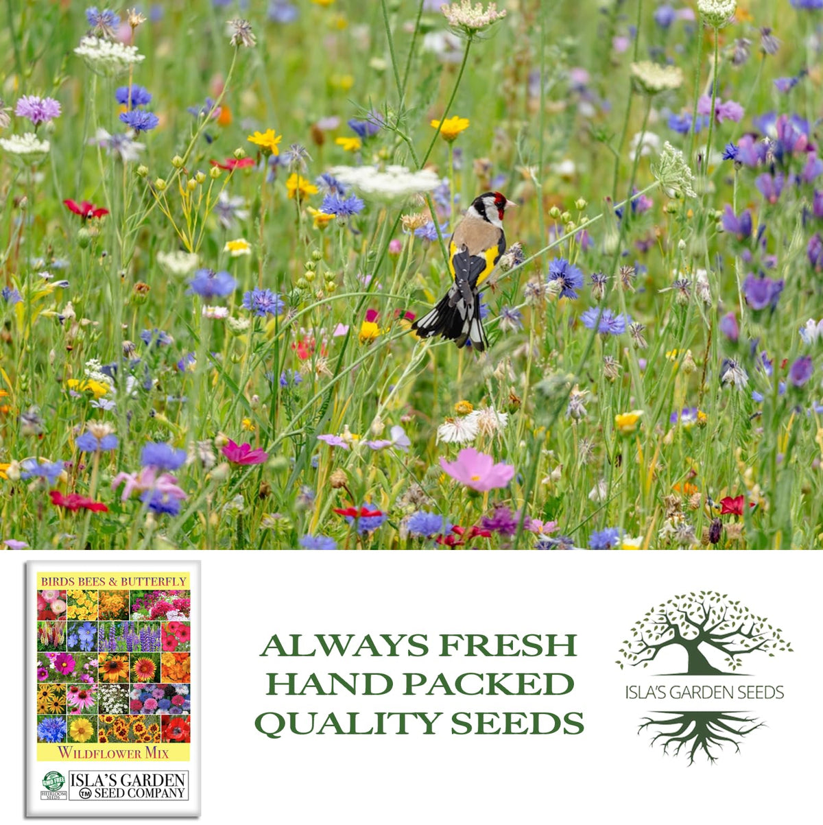 Isla's Garden Seeds bird-attracting wildflowers; supports local wildlife.