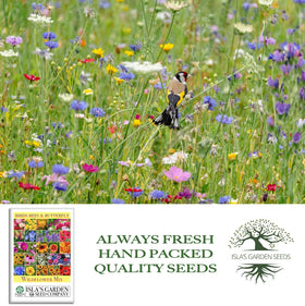 Isla's Garden Seeds bird-attracting wildflowers; supports local wildlife.