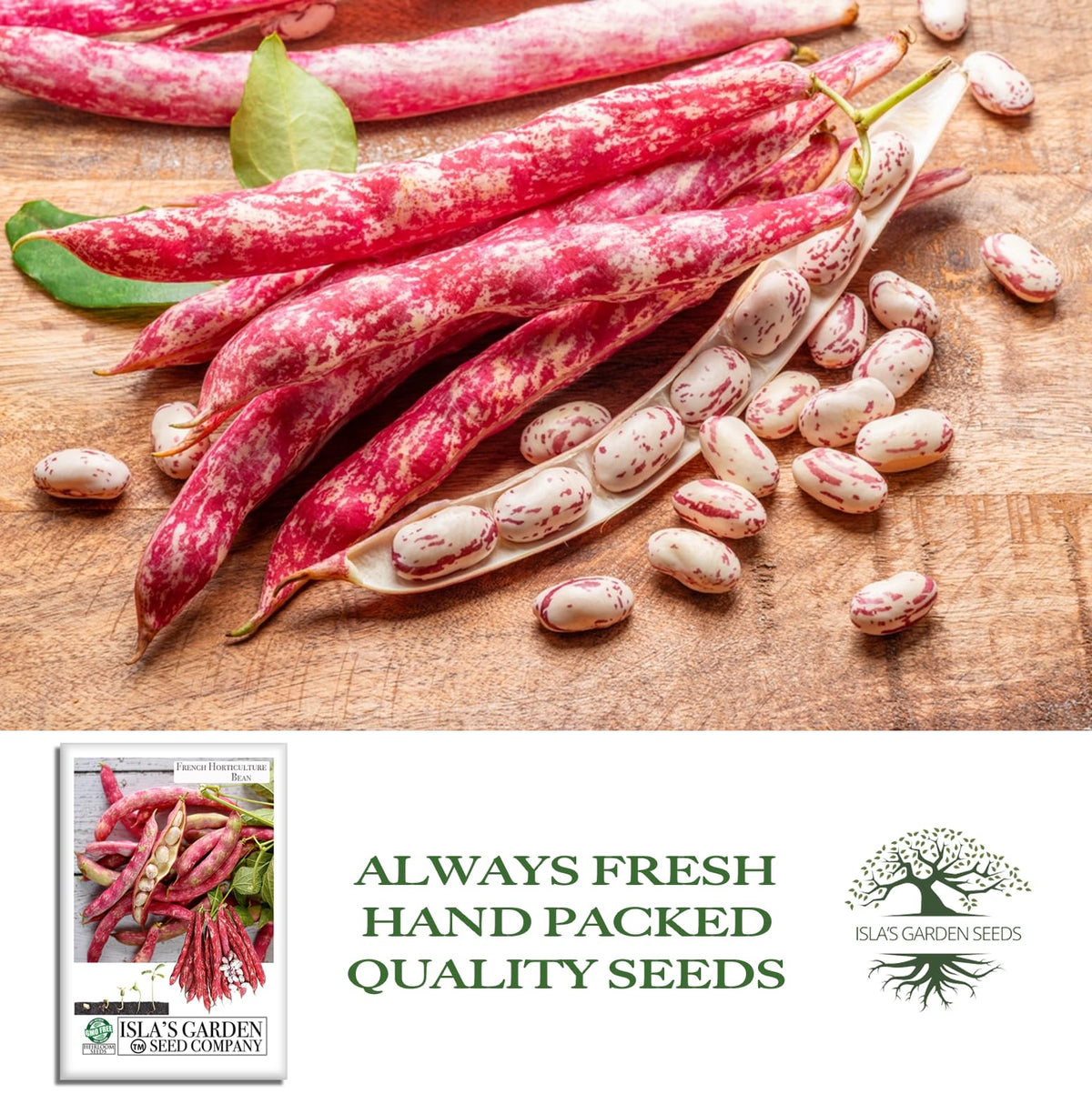 Isla's Garden Seeds borlotti beans seeds and dried beans on kitchen shelf
