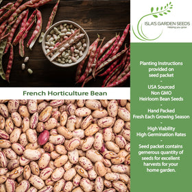 Isla's Garden Seeds borlotti beans growing on vines in full sun