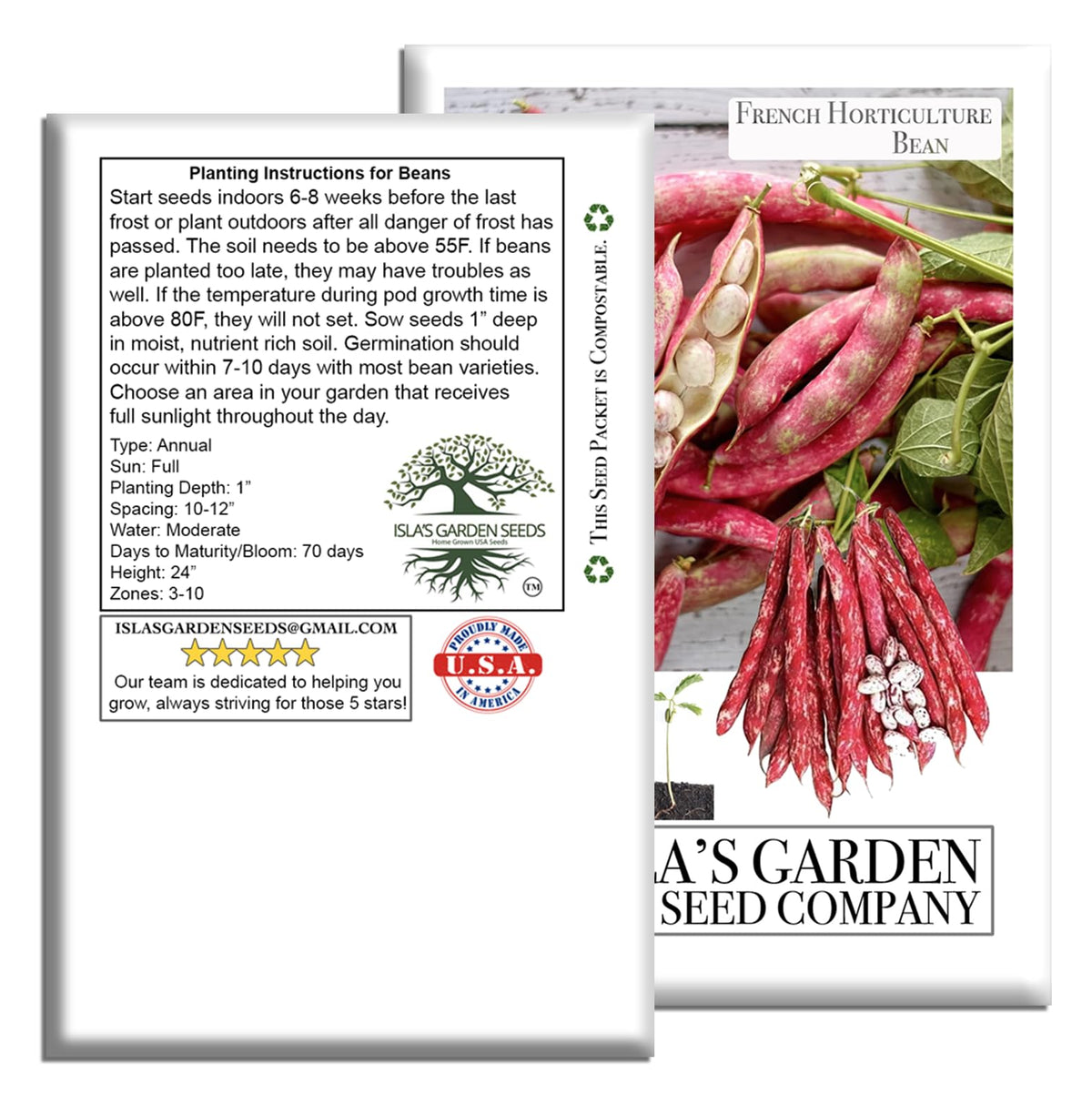 Isla's Garden Seeds borlotti beans plant spacing and sun exposure in garden