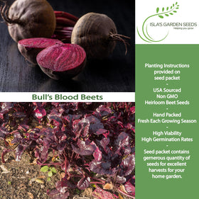 Isla's Garden Seeds Bull's Blood beet burgundy greens add color to salads and sides.