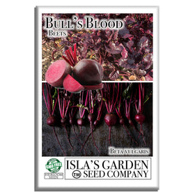 Isla's Garden Seeds Bull's Blood beet root with deep red color ideal for vibrant salads.