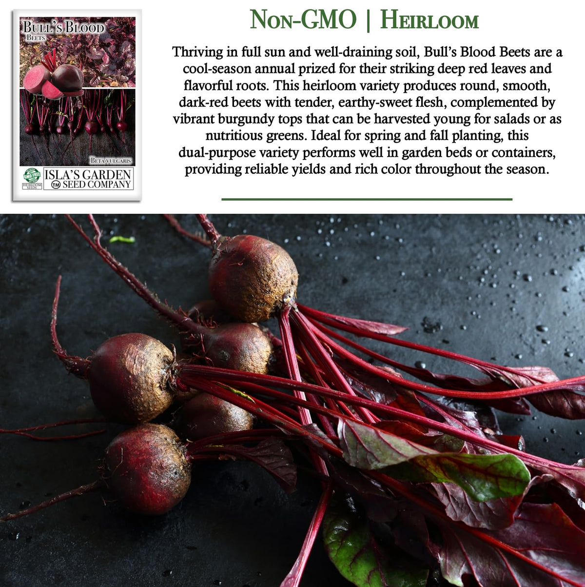 Isla's Garden Seeds Bull's Blood beet seed packet ready for planting in cool-season gardens.