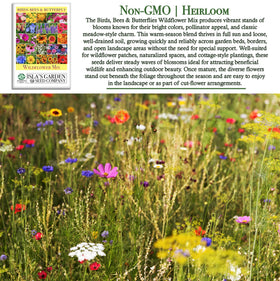 Isla's Garden Seeds colorful-wildflowers bed display; ideal for sunny garden beds.