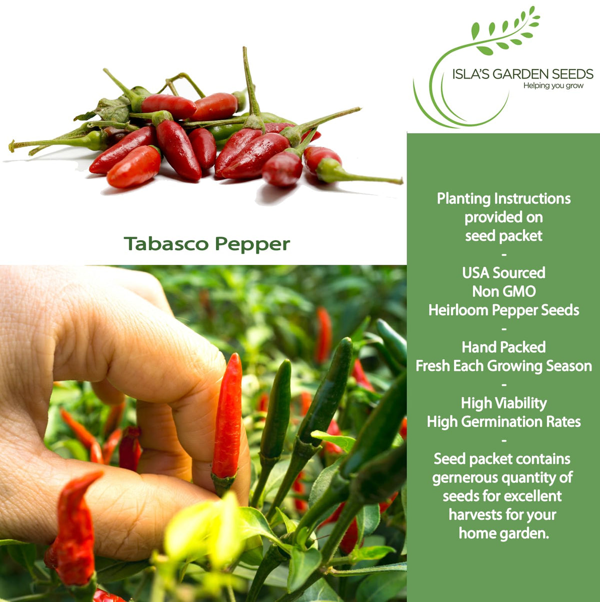 Compact Tabasco pepper plants thriving in a small garden