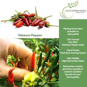 Compact Tabasco pepper plants thriving in a small garden