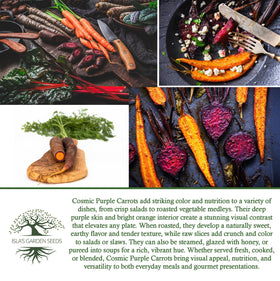 Isla's Garden Seeds Cosmic Purple Carrot adds colorful flair to home gardens.
