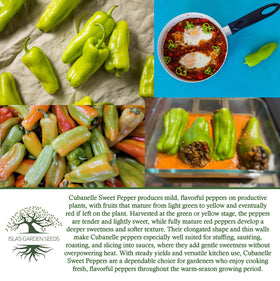 Isla's Garden Seeds Cubanelle peppers in a kitchen ready for roasting.