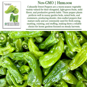 Isla's Garden Seeds Cubanelle peppers maturing to red, great for roasting.