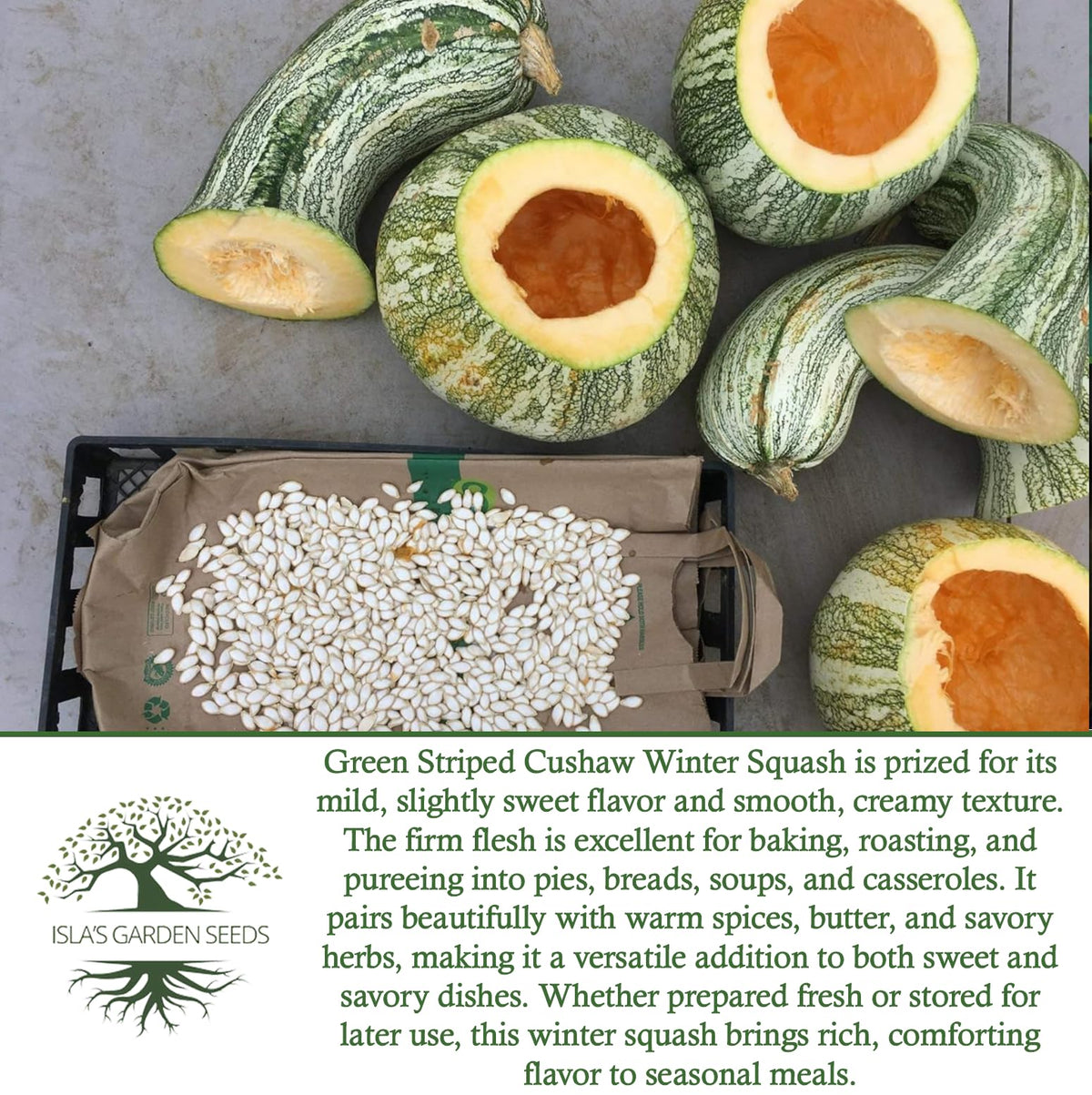 Cushaw germinates within 7–10 days for a quick garden payoff.