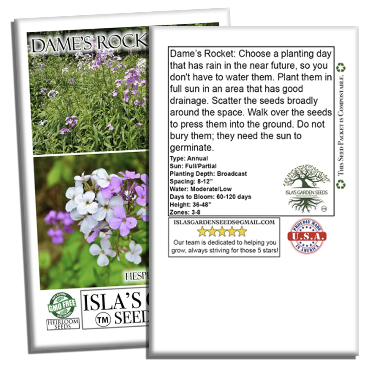 Isla's Garden Seeds Dame's Rocket pollinator visits on blossoms.