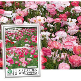 Isla's Garden Seeds Double Shirley Mix poppies add vibrant garden color