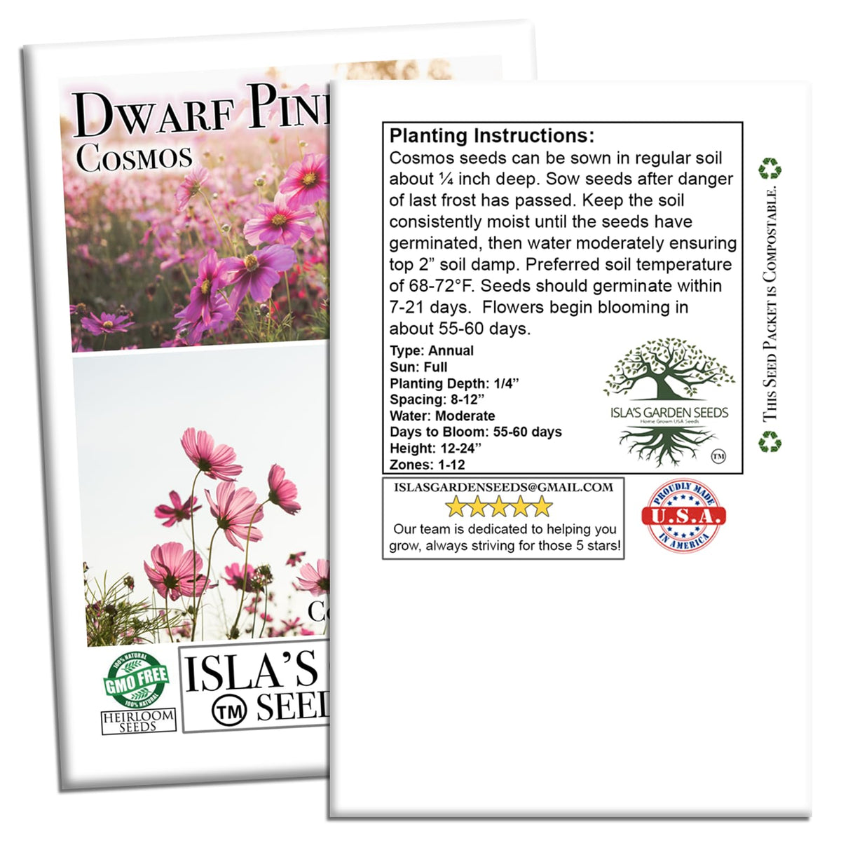 Isla's Garden Seeds dwarf pink cosmos garden scene at golden hour