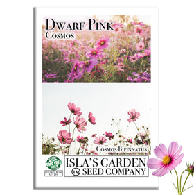 Isla's Garden Seeds dwarf pink cosmos seed packet for border planting