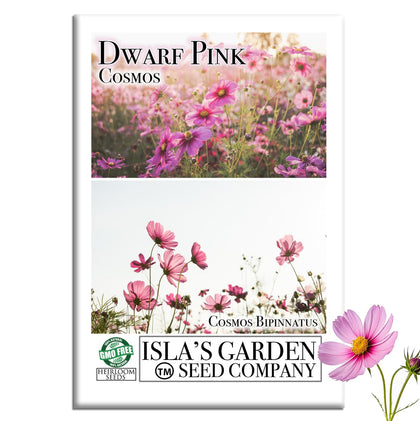 Isla's Garden Seeds dwarf pink cosmos seed packet for border planting