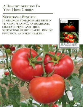 Isla's Garden Seeds Floradade thrives in heat for steady harvests in warm climates.