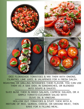 Isla's Garden Seeds Floradade open-pollinated heirloom variety for seed saving.