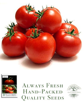 Isla's Garden Seeds Floradade ripe tomatoes on vine showing bright red color.
