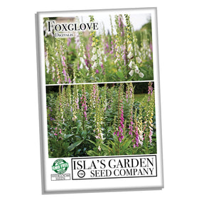Isla's Garden Seeds foxglove bloom in cream, rose, and lavender adds vertical color.