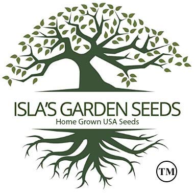 Isla's Garden Seeds foxglove care and safety handling for gardeners.