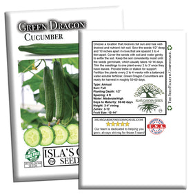 Isla's Garden Seeds Green Dragon cucumber thriving in full sun growth.