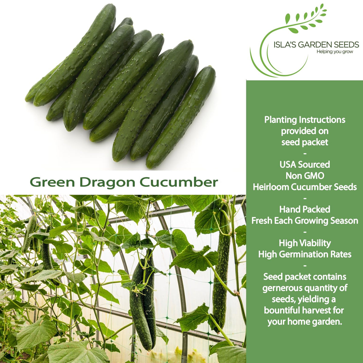 Isla's Garden Seeds Green Dragon cucumber fruit closeup highlighting crisp texture for salads.
