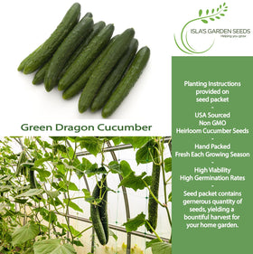 Isla's Garden Seeds Green Dragon cucumber fruit closeup highlighting crisp texture for salads.