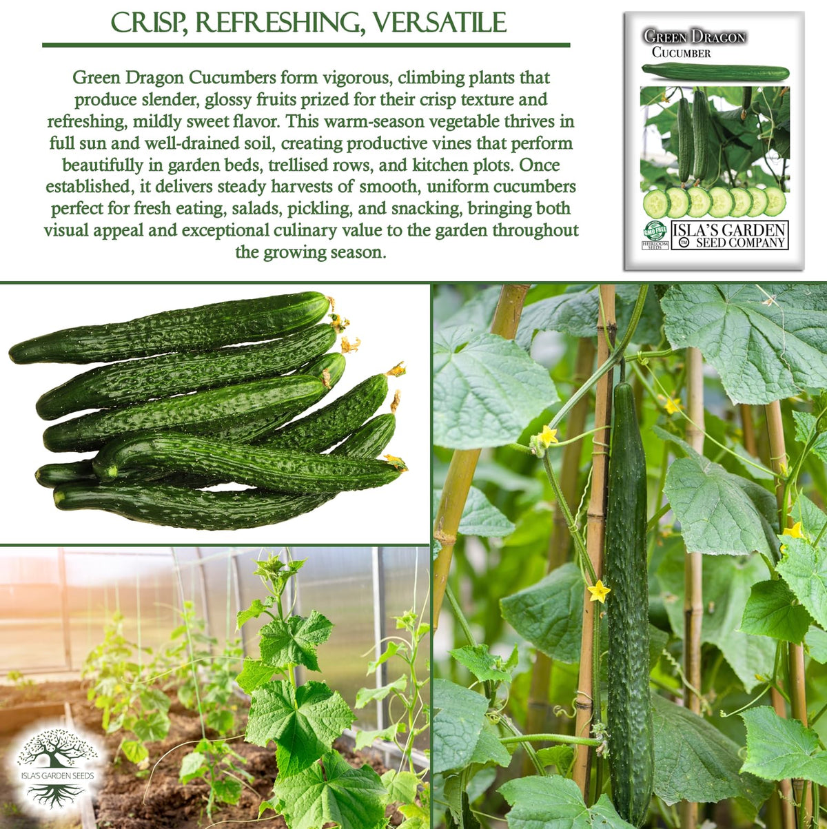 Isla's Garden Seeds Green Dragon salad cucumber ingredients for fresh meals.