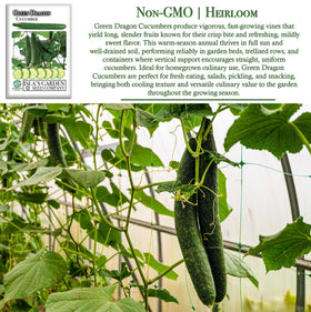 Isla's Garden Seeds Green Dragon vine on trellis illustrating vertical growing.