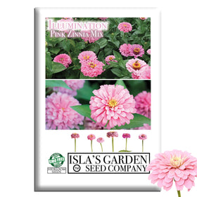 Isla's Garden Seeds Illumination Pink Zinnia bloom in vibrant pink color for bold summer color in garden beds
