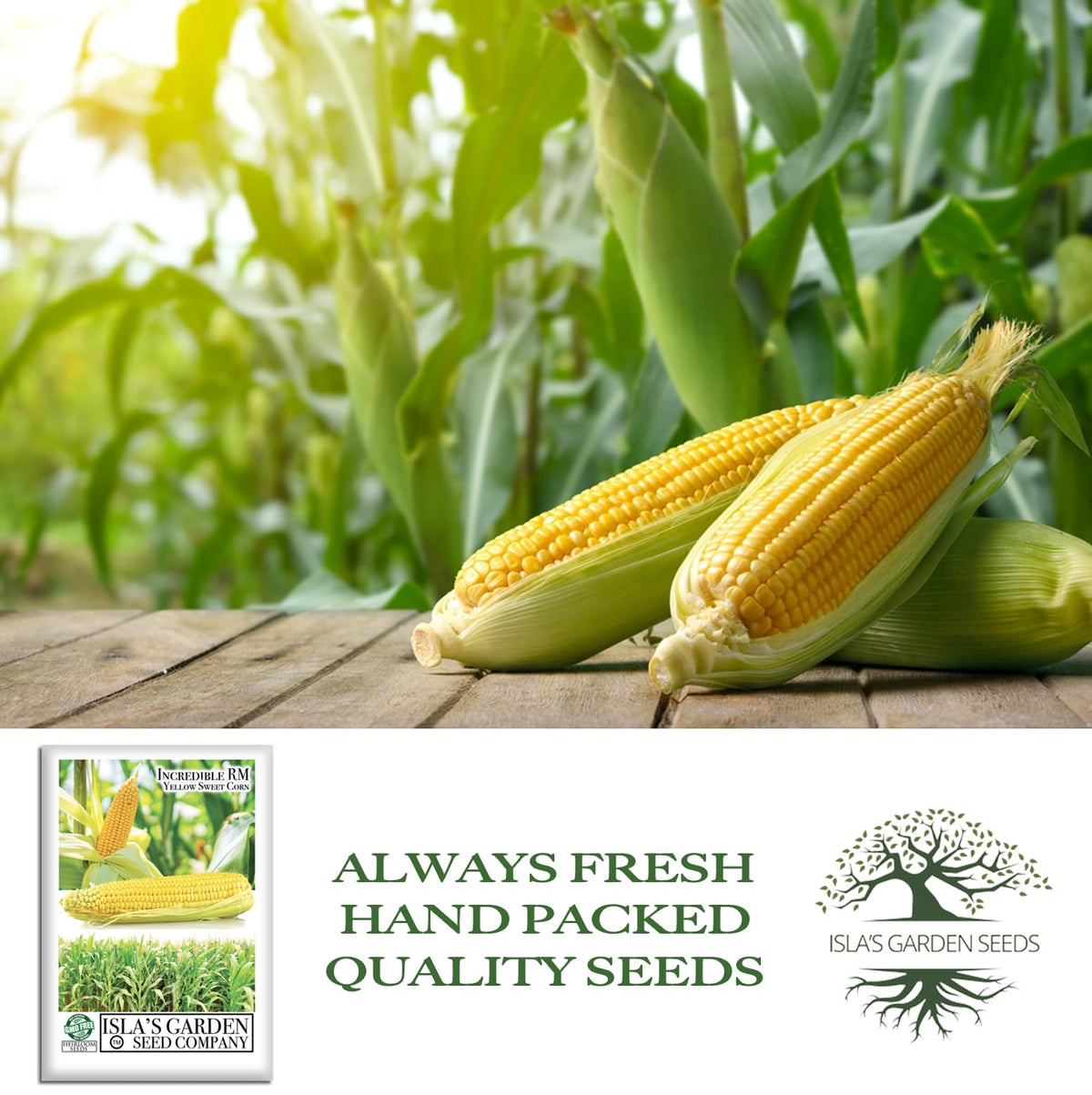 Isla's Garden Seeds Incredible fresh cob ideal for boiling or grilling.
