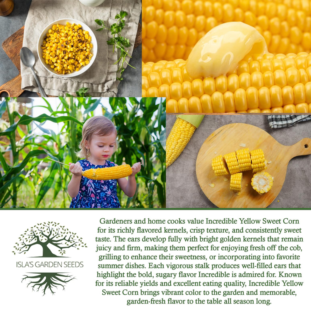 Isla's Garden Seeds Incredible full-sun plants thrive in warm outdoor spaces.