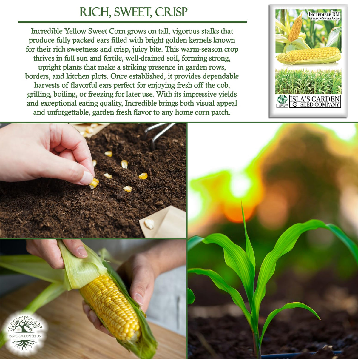 Isla's Garden Seeds Incredible grill-ready cob for summer barbecues.