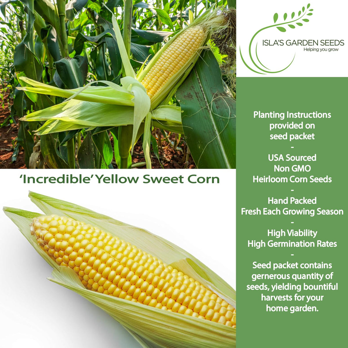 Isla's Garden Seeds Incredible tall stalks support high yields in home gardens.