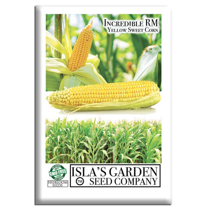 Isla's Garden Seeds Incredible yellow corn ear with golden kernels for fresh eating.