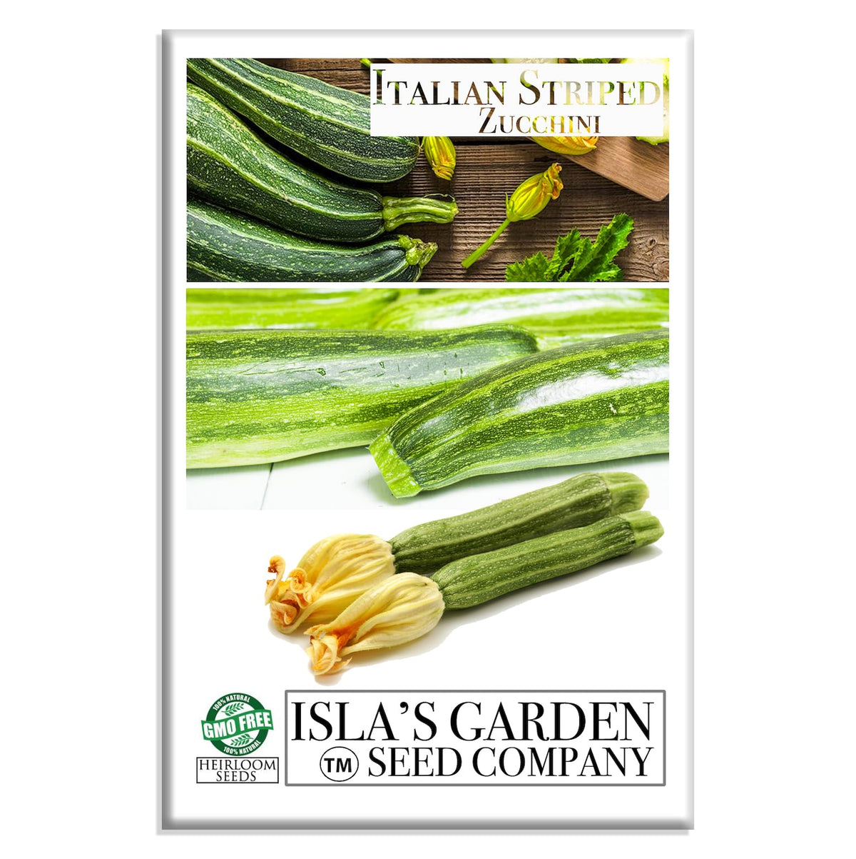 Isla's Garden Seeds Italian Striped Zucchini fruit with dark and light stripes for fresh slicing