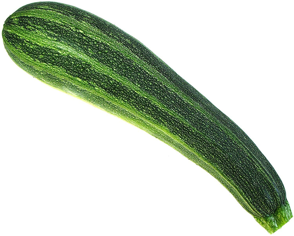 Isla's Garden Seeds Italian Striped Zucchini harvest ready for picking