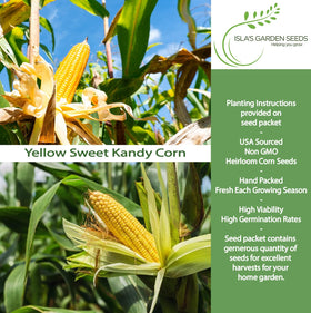 Isla's Garden Seeds Kandy Corn kernels close-up, bright golden sweetness for grilling.