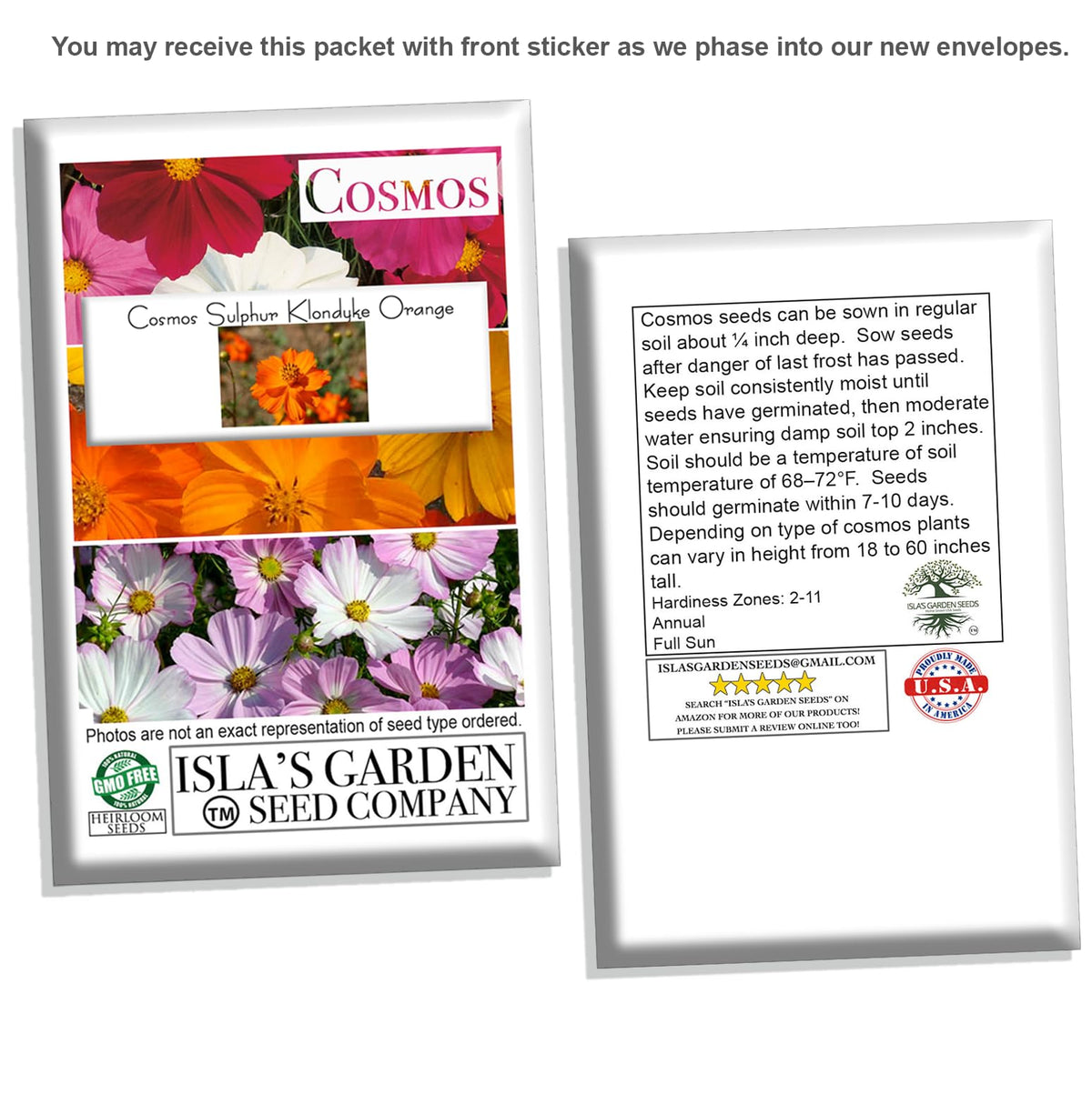 Garden scene with tall Cosmos growing among perennials for seasonal color