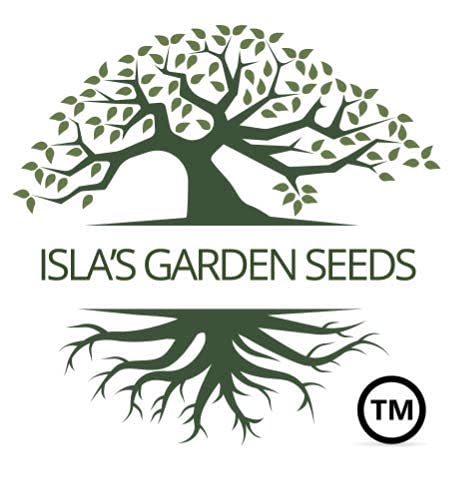 Isla's Garden Seeds Klondyke Orange Cosmos offer heirloom, non-GMO seeds