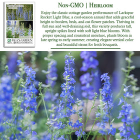 Isla's Garden Seeds Larkspur Rocket Light Blue provides vertical interest for border and bouquet use.
