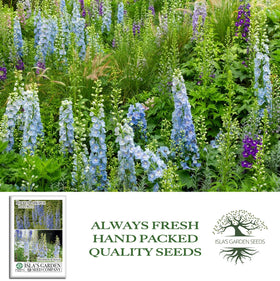 Isla's Garden Seeds Larkspur Rocket Light Blue seeds offer reliable early blooms in cool seasons.