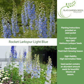 Isla's Garden Seeds Larkspur Rocket Light Blue tall spikes add dramatic height to gardens.