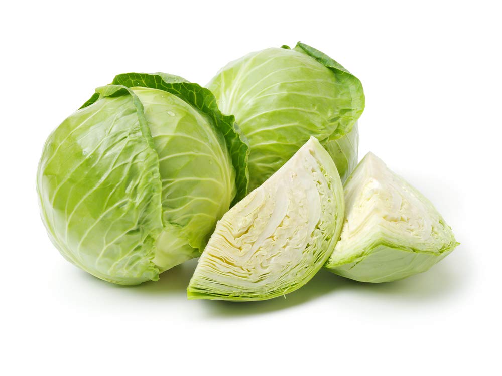 Isla's Garden Seeds Late Flat Dutch cabbage head, massive 12-inch oval, ideal for storage and home kitchens.