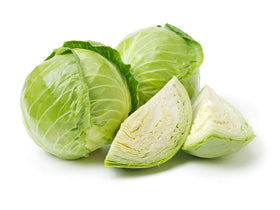 Isla's Garden Seeds Late Flat Dutch cabbage head, massive 12-inch oval, ideal for storage and home kitchens.