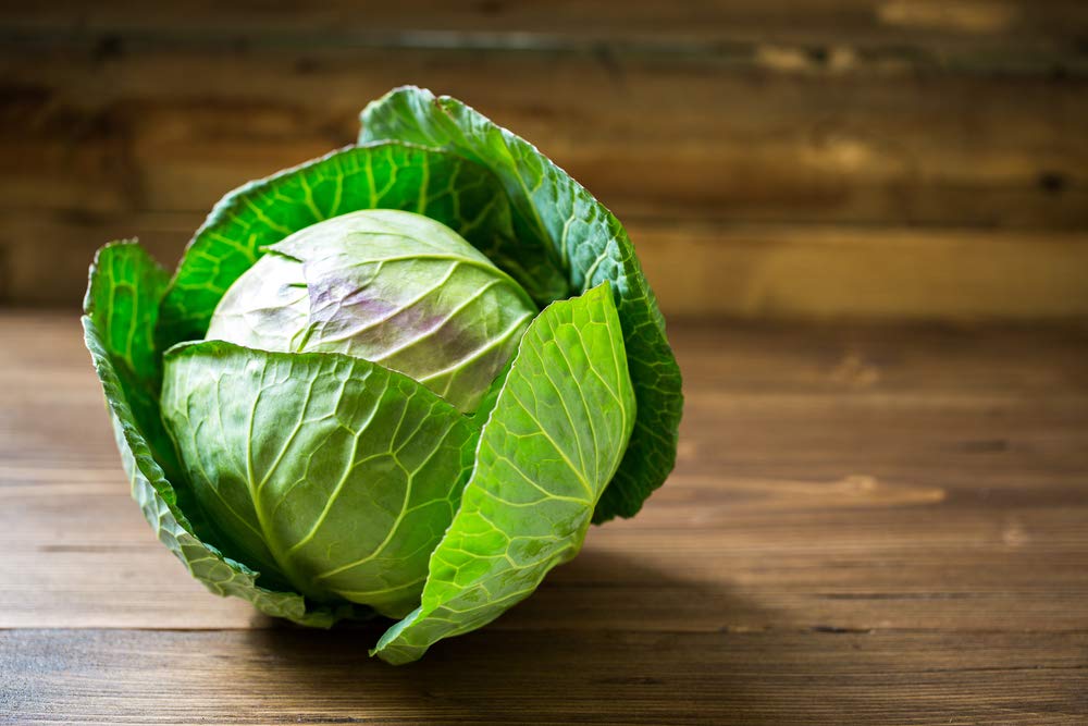 Isla's Garden Seeds Late Flat Dutch cabbage seed pack, open-pollinated heirloom seeds for reliable planting.