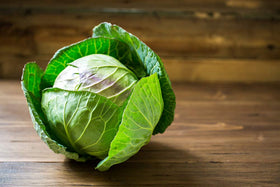 Isla's Garden Seeds Late Flat Dutch cabbage seed pack, open-pollinated heirloom seeds for reliable planting.